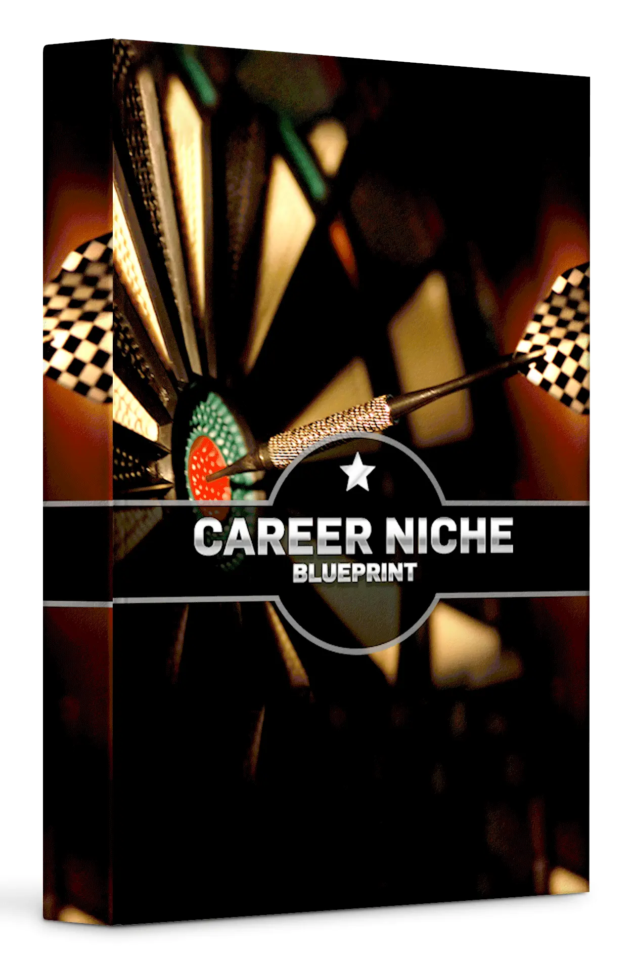 career-niche-1